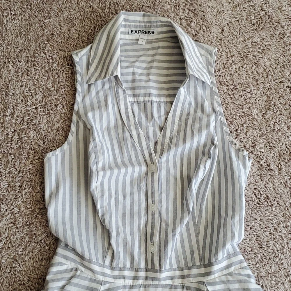 Express Striped Button-up Collared Dress - Picture 2 of 6
